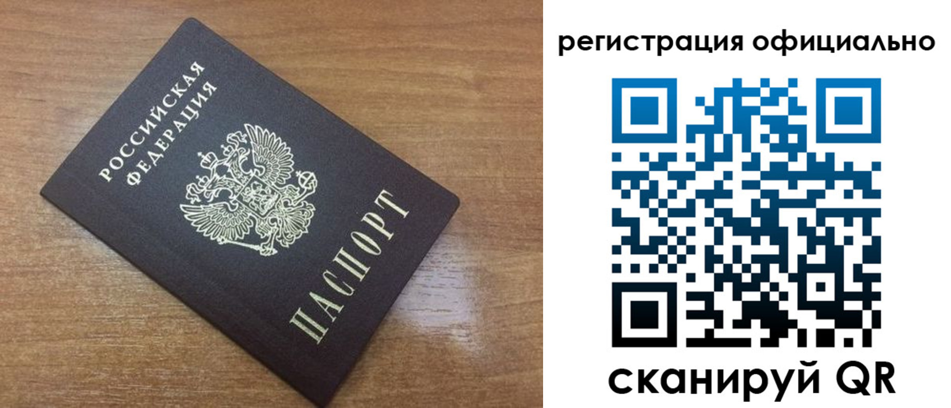 прописка 2025 в Камышине